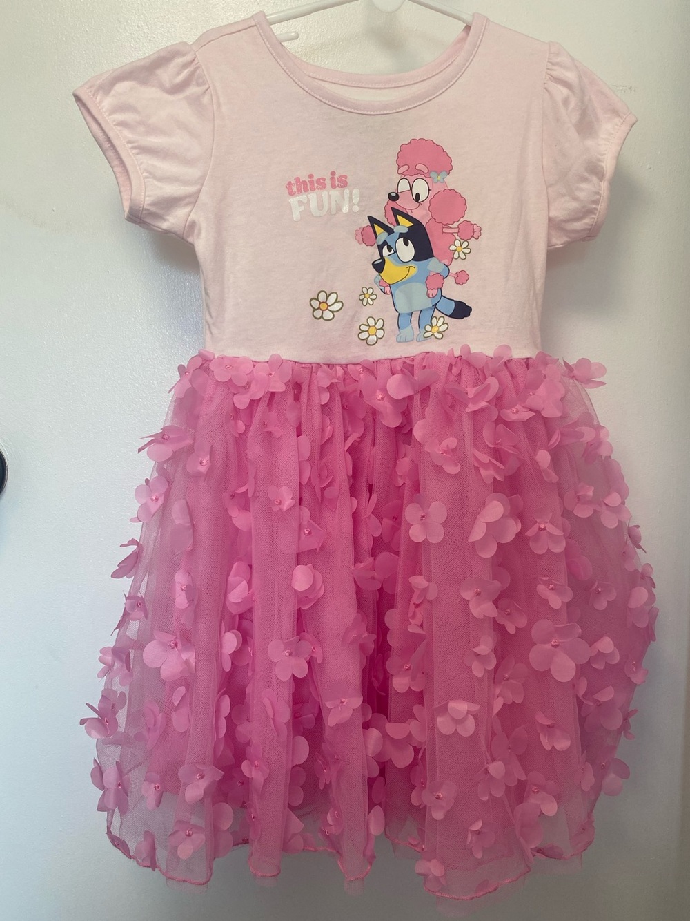 Hybrid Apparel Pink Bluey & Coco Dress with Floral Tulle Skirt, Girls’ 6